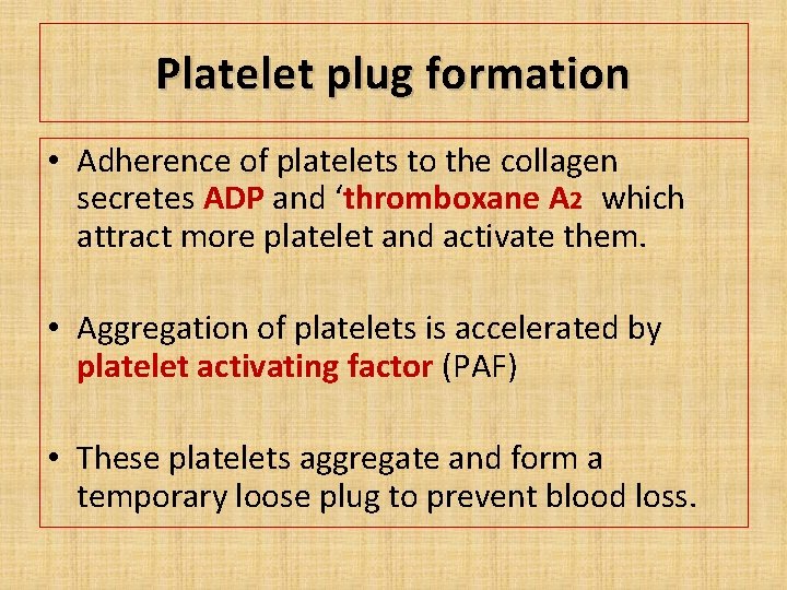 Platelet plug formation • Adherence of platelets to the collagen secretes ADP and ‘thromboxane