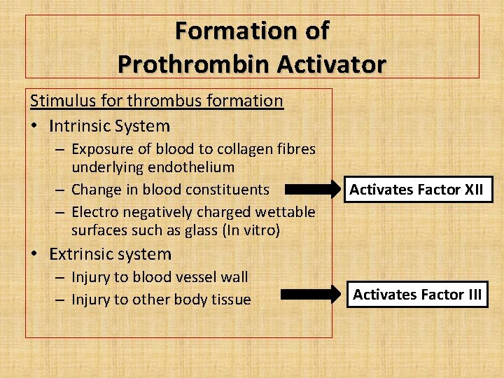 Formation of Prothrombin Activator Stimulus for thrombus formation • Intrinsic System – Exposure of