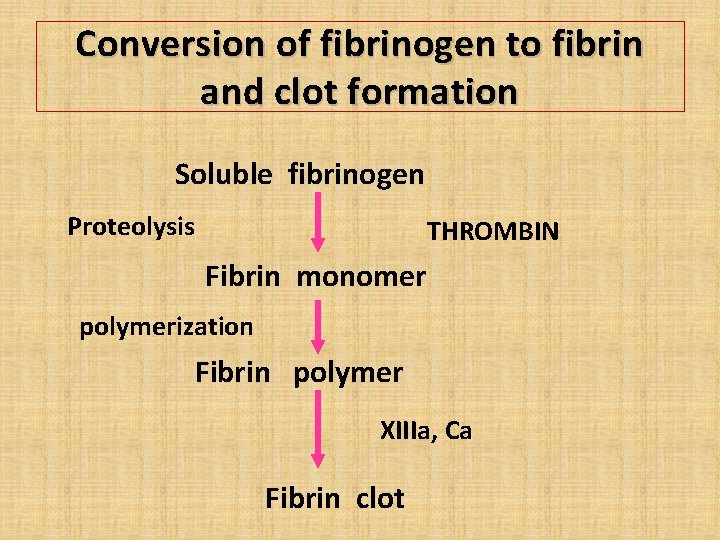 Conversion of fibrinogen to fibrin and clot formation Soluble fibrinogen Proteolysis THROMBIN Fibrin monomer