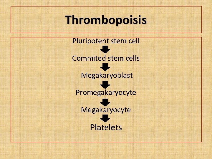 Thrombopoisis Pluripotent stem cell Commited stem cells Megakaryoblast Promegakaryocyte Megakaryocyte Platelets 