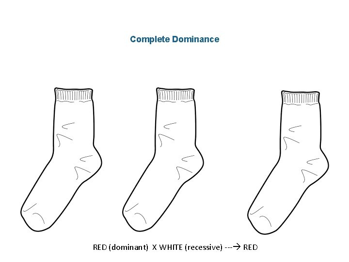 Complete Dominance RED (dominant) X WHITE (recessive) --- RED 