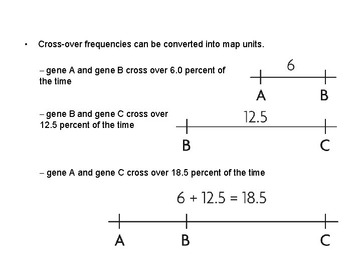  • Cross-over frequencies can be converted into map units. – gene A and