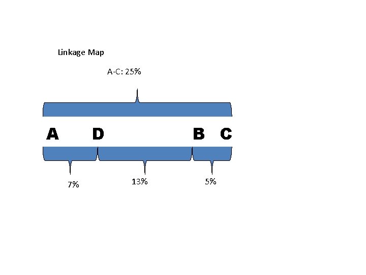 Linkage Map A-C: 25% A D 7% B C 13% 5% 