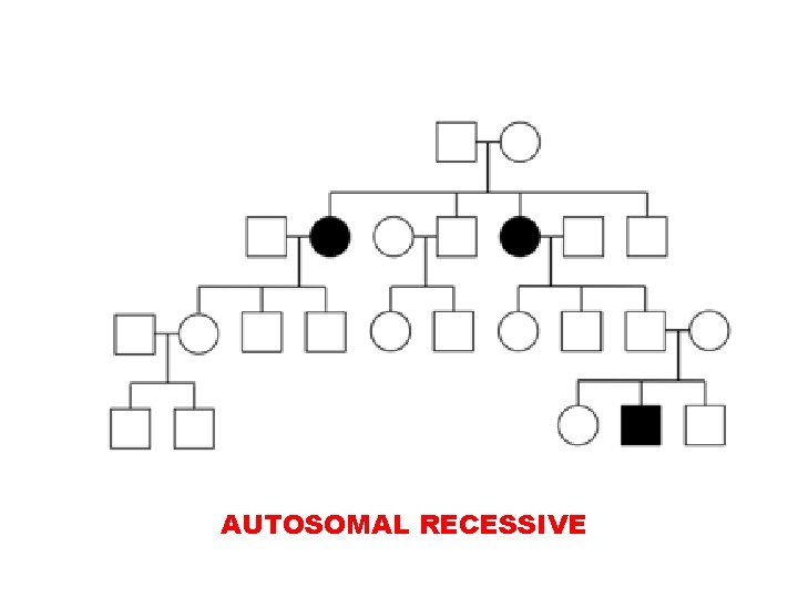 AUTOSOMAL RECESSIVE 