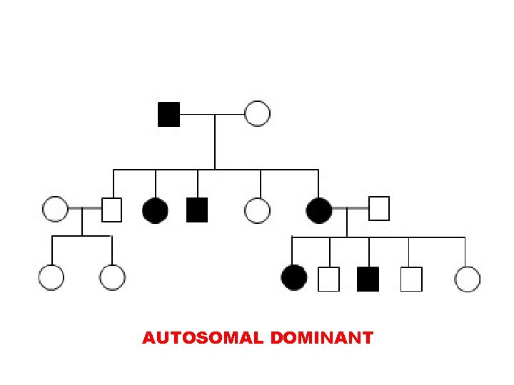 AUTOSOMAL DOMINANT 