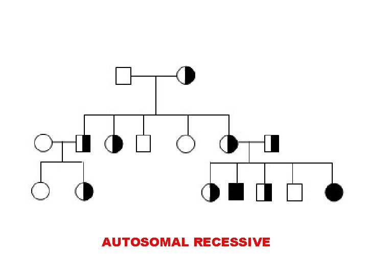 AUTOSOMAL RECESSIVE 