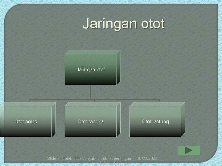 Jaringan otot Otot polos Otot rangka Slide ini boleh diperbanyak untuk kepentingan belajar. .