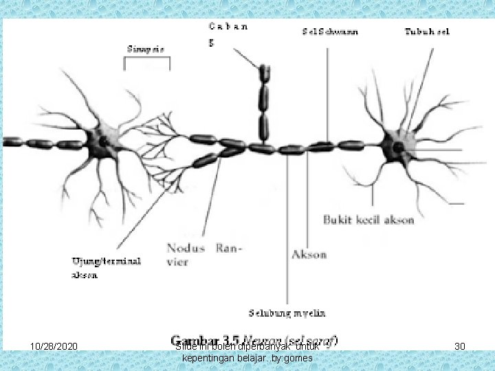 10/28/2020 Slide ini boleh diperbanyak untuk kepentingan belajar. . by: gomes 30 