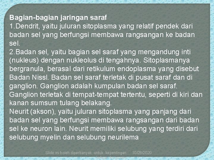 Bagian-bagian jaringan saraf 1. Dendrit, yaitu juluran sitoplasma yang relatif pendek dari badan sel