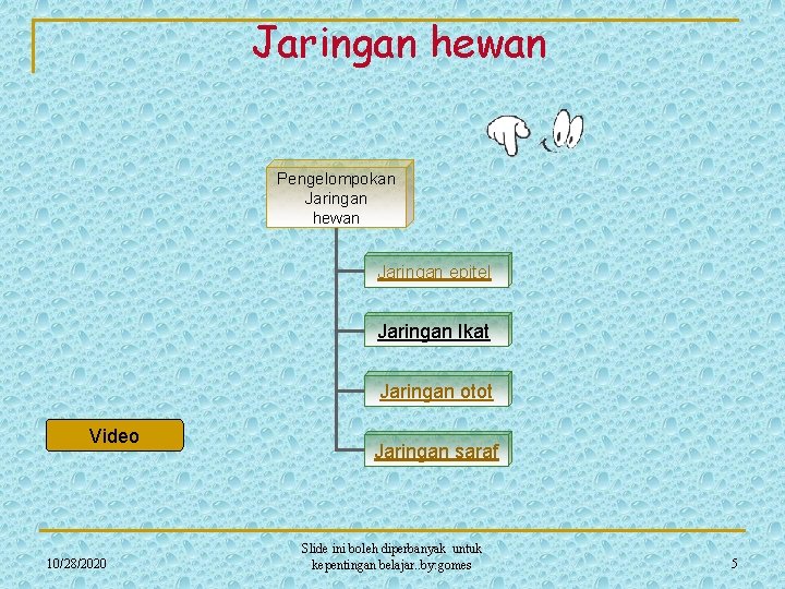 Jaringan hewan Pengelompokan Jaringan hewan Jaringan epitel Jaringan Ikat Jaringan otot Video 10/28/2020 Jaringan