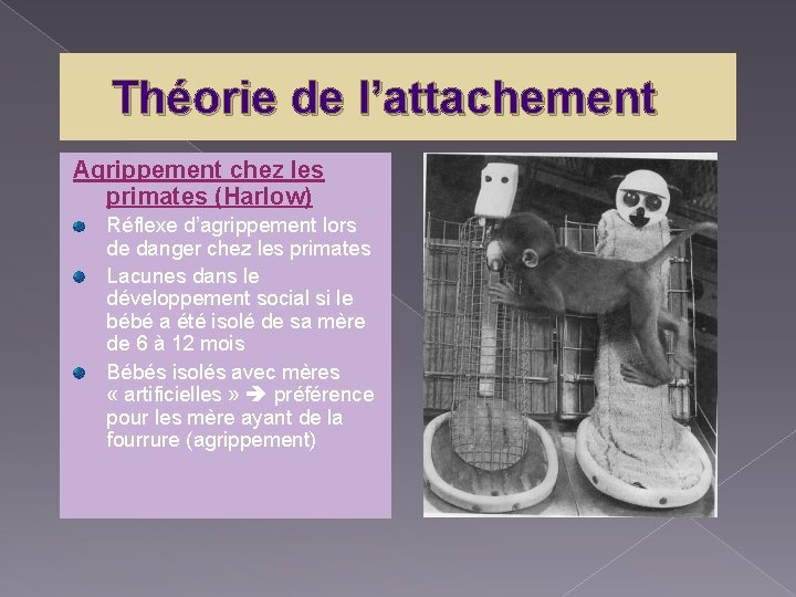 Théorie de l’attachement Agrippement chez les primates (Harlow) Réflexe d’agrippement lors de danger chez