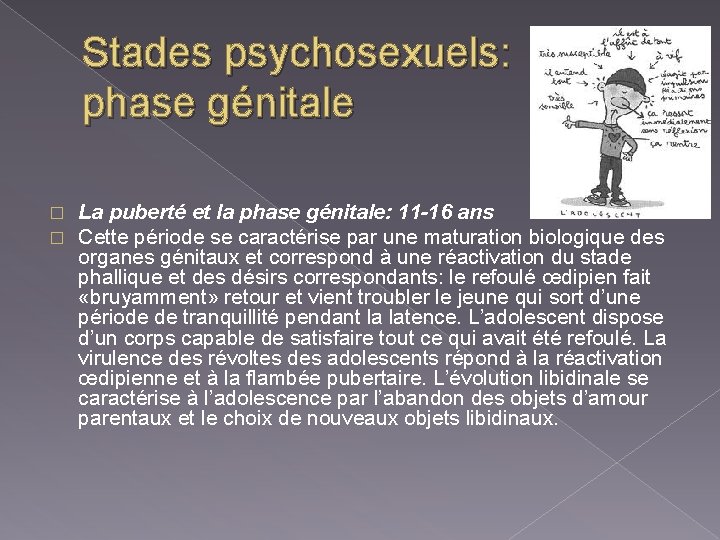 Stades psychosexuels: phase génitale � � La puberté et la phase génitale: 11 -16