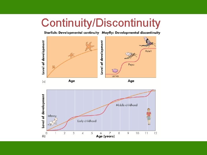 Continuity/Discontinuity 