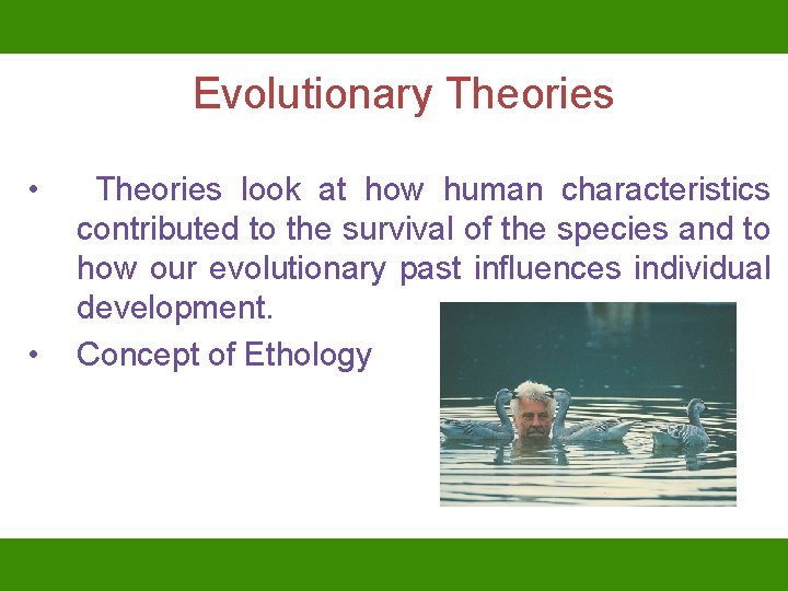 Evolutionary Theories • • Theories look at how human characteristics contributed to the survival