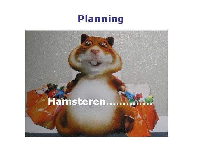 Planning Hamsteren…………. . 