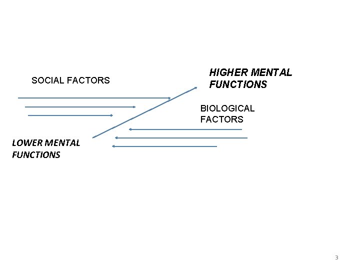 SOCIAL FACTORS HIGHER MENTAL FUNCTIONS BIOLOGICAL FACTORS LOWER MENTAL FUNCTIONS 3 