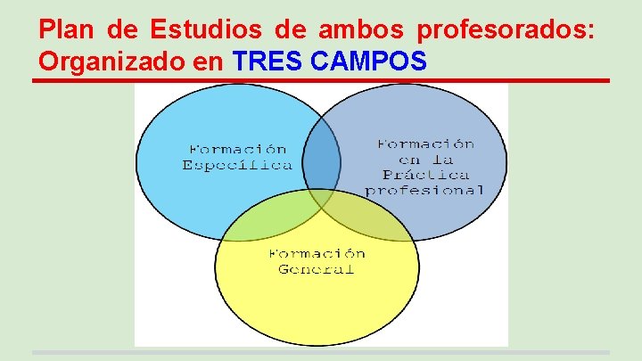 Plan de Estudios de ambos profesorados: Organizado en TRES CAMPOS 