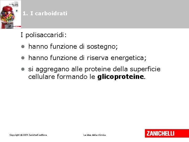 1. I carboidrati I polisaccaridi: • hanno funzione di sostegno; • hanno funzione di