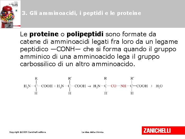 3. Gli amminoacidi, i peptidi e le proteine Le proteine o polipeptidi sono formate