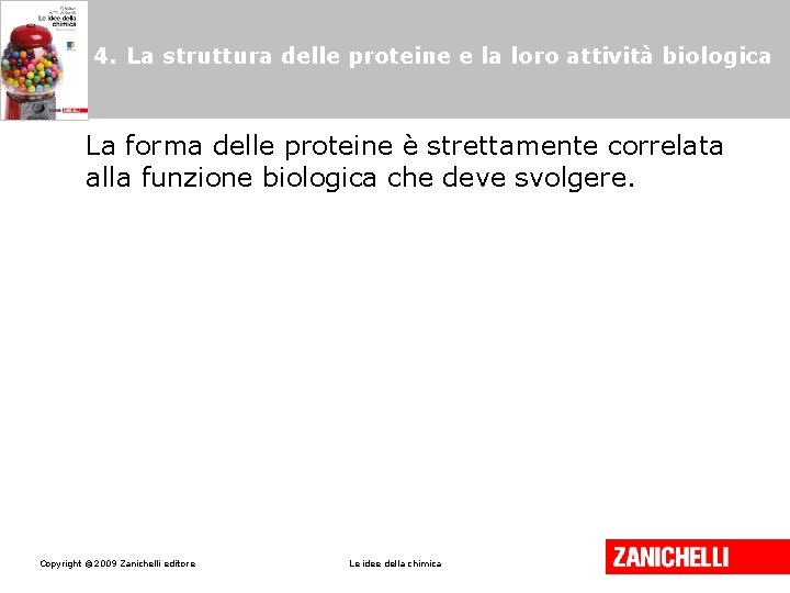 4. La struttura delle proteine e la loro attività biologica La forma delle proteine