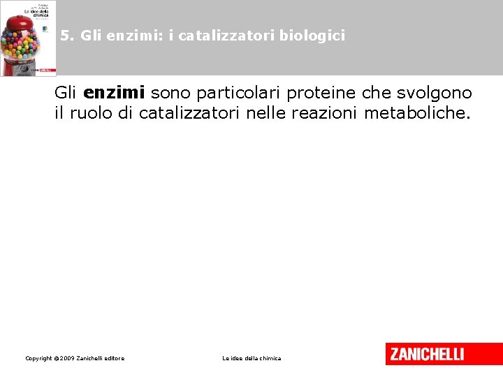 5. Gli enzimi: i catalizzatori biologici Gli enzimi sono particolari proteine che svolgono il