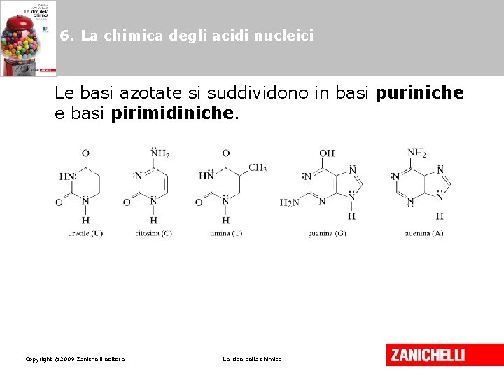 6. La chimica degli acidi nucleici Le basi azotate si suddividono in basi puriniche