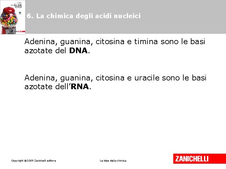 6. La chimica degli acidi nucleici Adenina, guanina, citosina e timina sono le basi