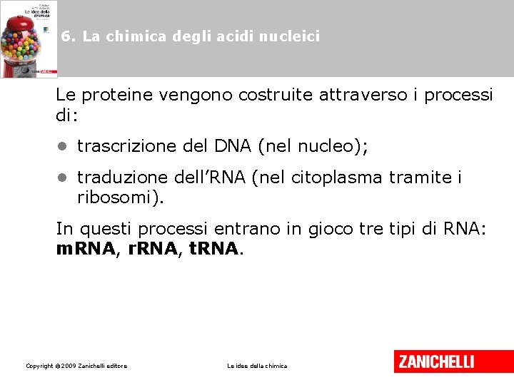 6. La chimica degli acidi nucleici Le proteine vengono costruite attraverso i processi di: