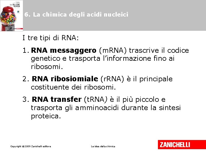 6. La chimica degli acidi nucleici I tre tipi di RNA: 1. RNA messaggero