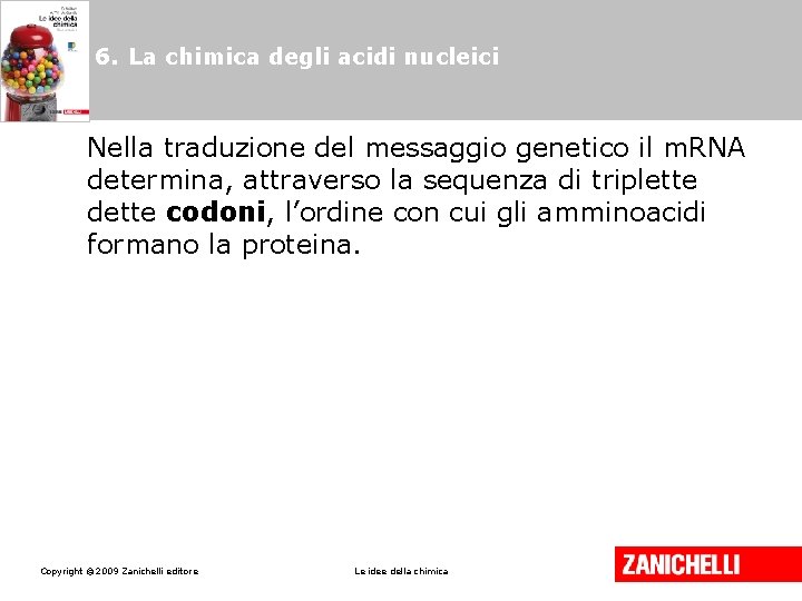 6. La chimica degli acidi nucleici Nella traduzione del messaggio genetico il m. RNA