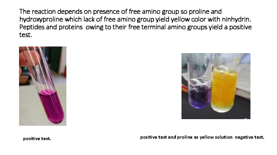 The reaction depends on presence of free amino group so proline and hydroxyproline which