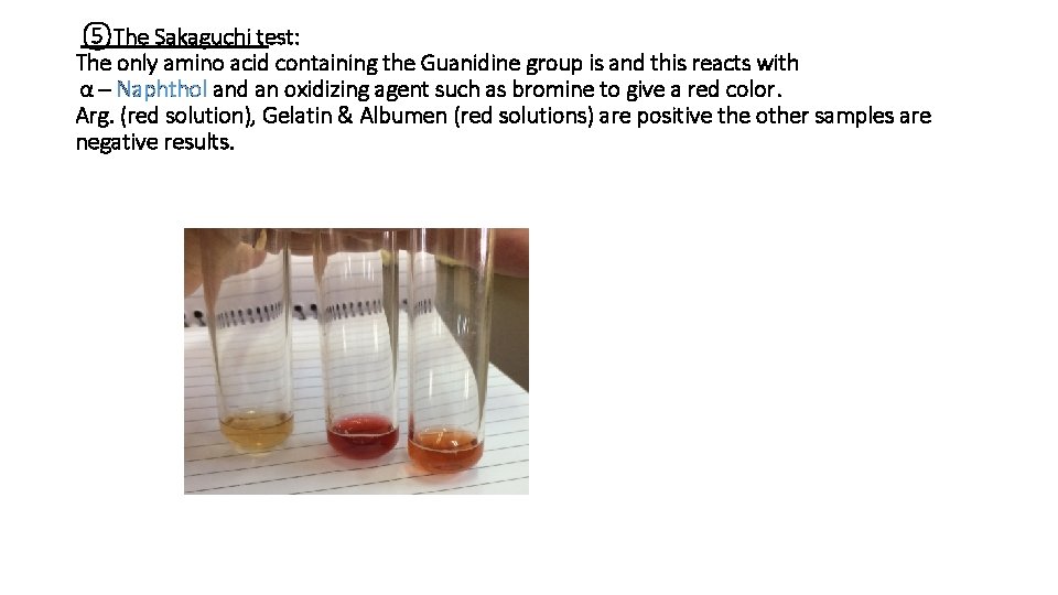 ⑤The Sakaguchi test: The only amino acid containing the Guanidine group is and this