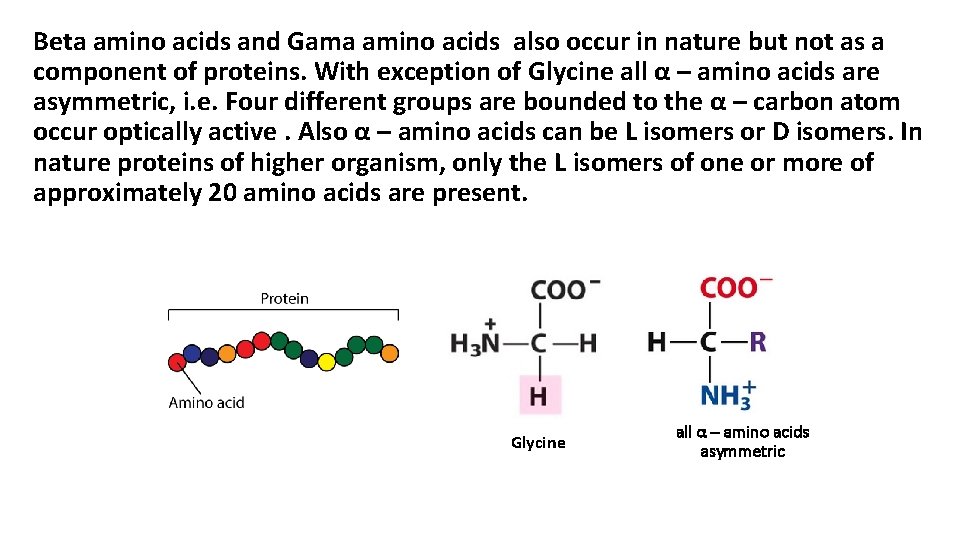 Beta amino acids and Gama amino acids also occur in nature but not as