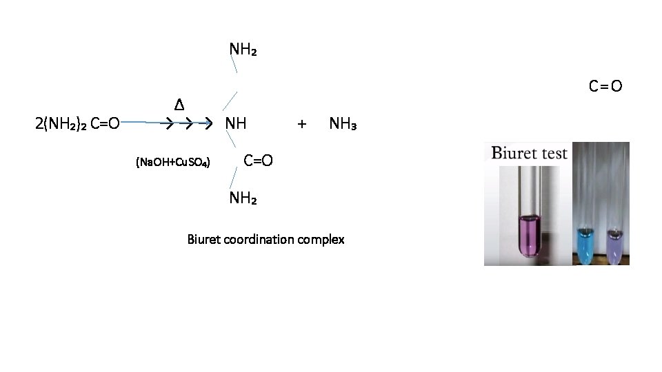  NH₂ ∆ 2(NH₂)₂ C=O → → → NH + NH₃ (Na. OH+Cu. SO₄)