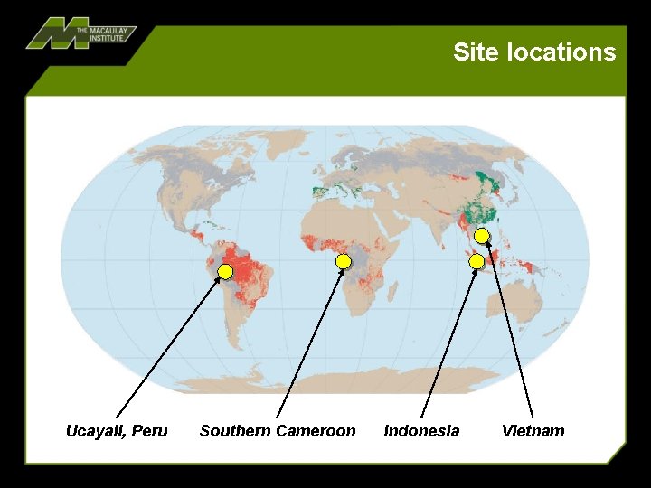 Site locations Ucayali, Peru Southern Cameroon Indonesia Vietnam 