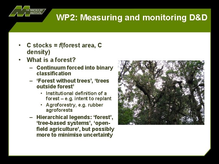 WP 2: Measuring and monitoring D&D • C stocks = f(forest area, C density) WP 2: Measuring and monitoring D&D • C stocks = f(forest area, C density)