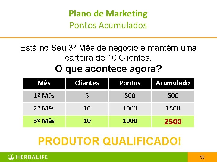 Plano de Marketing Pontos Acumulados Está no Seu 3º Mês de negócio e mantém