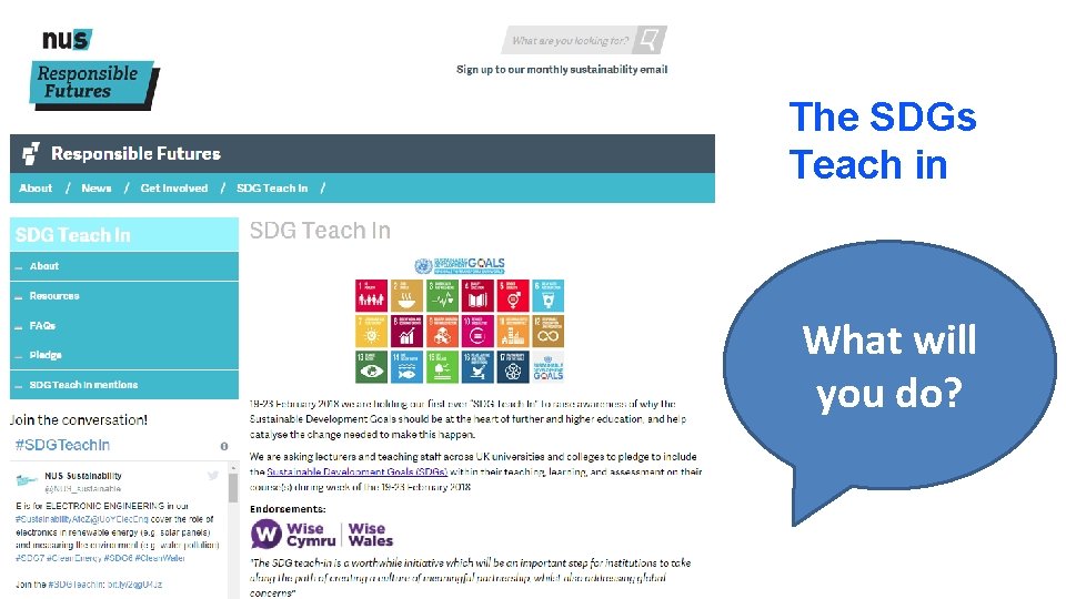 The SDGs Teach in What will you do? 