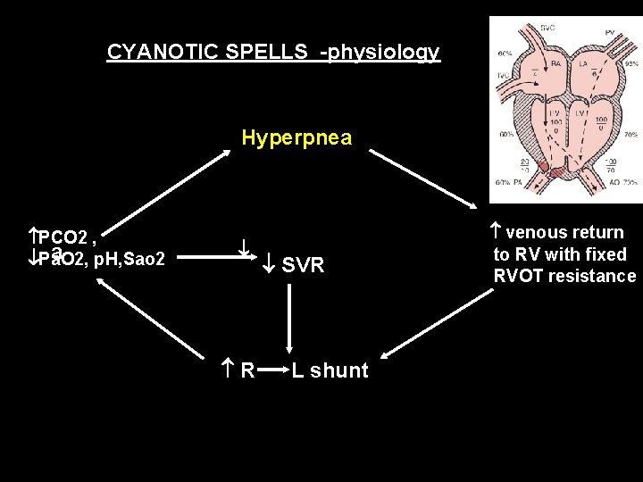 CYANOTIC SPELLS -physiology Hyperpnea PCO 2 , a p. H, Sao 2 Pa. O