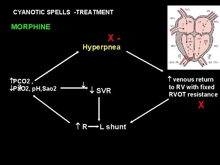 CYANOTIC SPELLS -TREATMENT MORPHINE X- Hyperpnea PCO 2 , a p. H, Sao 2