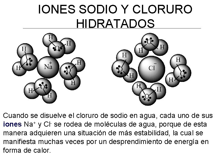 IONES SODIO Y CLORURO HIDRATADOS Cuando se disuelve el cloruro de sodio en agua,