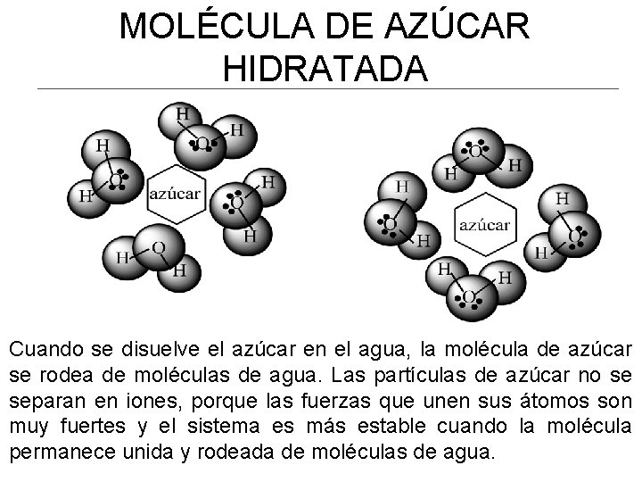 MOLÉCULA DE AZÚCAR HIDRATADA Cuando se disuelve el azúcar en el agua, la molécula