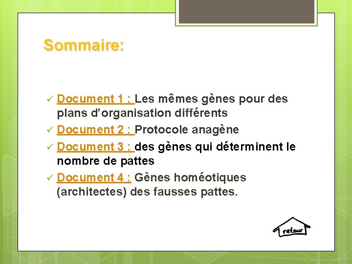 Sommaire: Document 1 : Les mêmes gènes pour des plans d’organisation différents ü Document