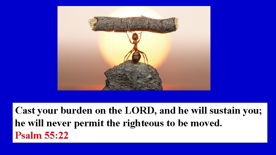 Cast your burden on the LORD, and he will sustain you; he will never