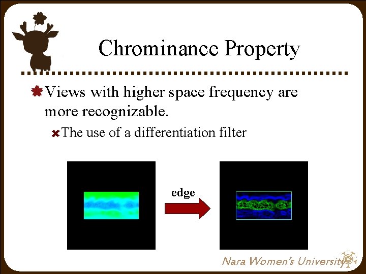 Chrominance Property Views with higher space frequency are more recognizable. The use of a Chrominance Property Views with higher space frequency are more recognizable. The use of a