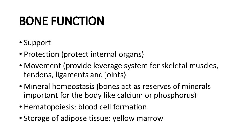 BONE FUNCTION • Support • Protection (protect internal organs) • Movement (provide leverage system