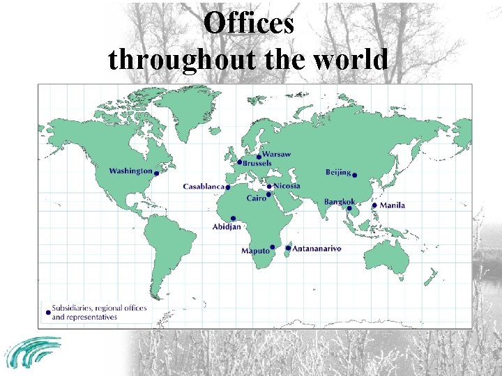 Offices throughout the world 