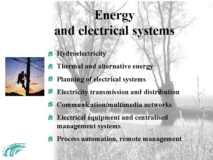 Energy and electrical systems Hydroelectricity Thermal and alternative energy Planning of electrical systems Electricity