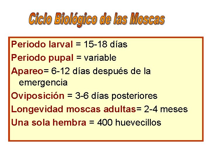 Periodo larval = 15 -18 días Periodo pupal = variable Apareo= 6 -12 días