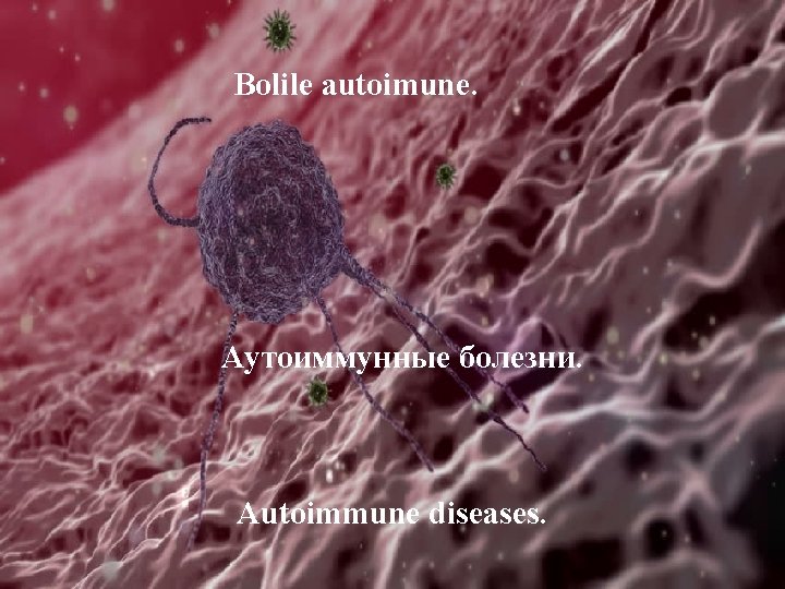 Bolile autoimune. Аутоиммунные болезни. Autoimmune diseases. 